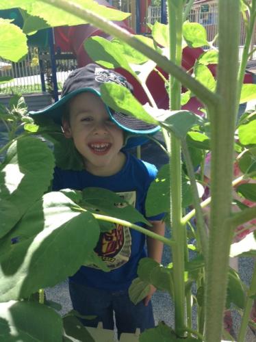 Central Gardens Child Care Pre School - Perth Child Care 2