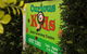 Curious Kids - thumb 0