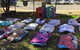 Denison Street Early Learning Centre - thumb 5