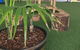 Lilypad Early Learning Centre - thumb 6
