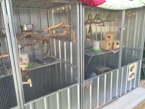 TLC Early Learning Centre - Perth Child Care 1