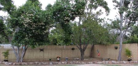 Jensen QLD Perth Child Care