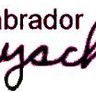 Labrador Playschool - Perth Child Care