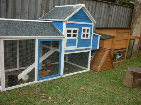 Active Littlies Child Care Centre - Perth Child Care 3