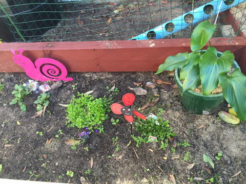 TLC Early Learning Centre - Perth Child Care 9