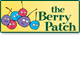 Berry Patch Preschool - Perth Child Care